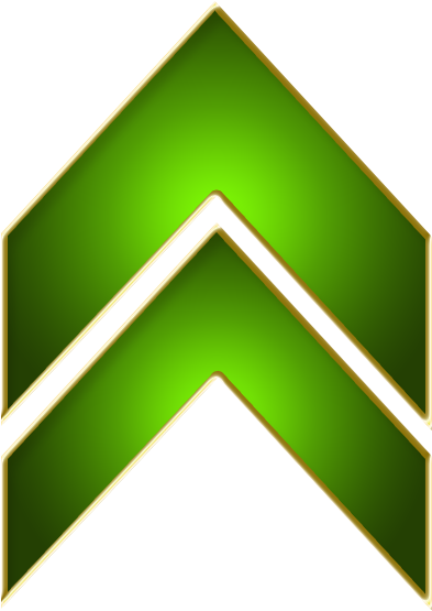 Green Gold Arrow Up Icon