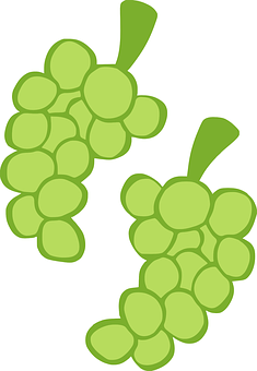 Green_ Grape_ Clusters_ Vector_ Illustration PNG with transparent background