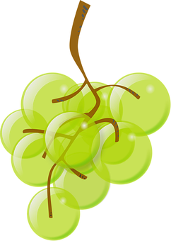 Green Grapes Cluster Illustration PNG with transparent background