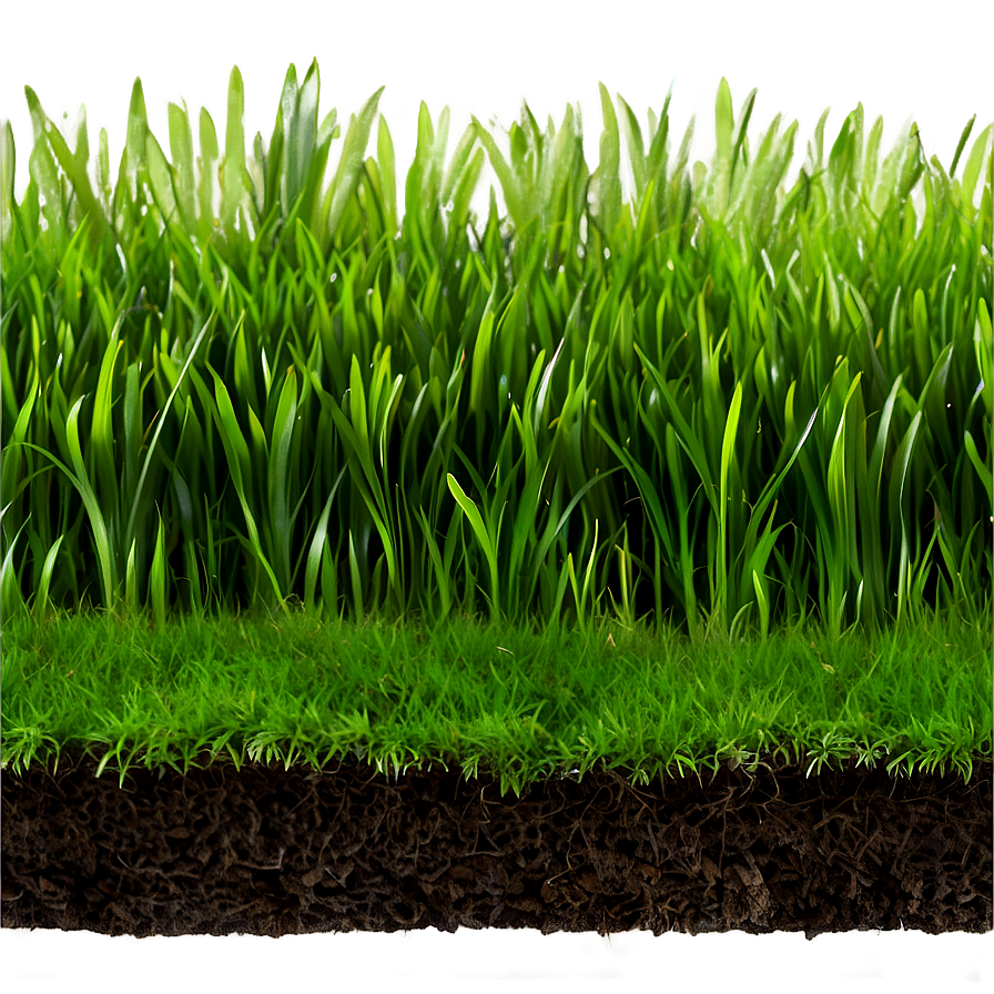 Green Grass For Landscaping Png 06262024