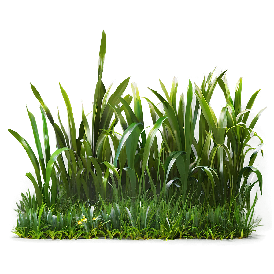 Green Grass Patch Png 44