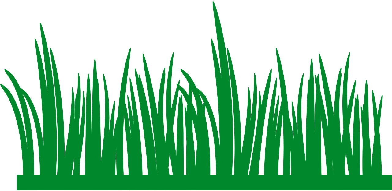 Meadow PNG Pic PNG with transparent background
