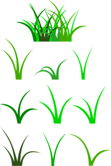 Green Grass Vector Illustration PNG with transparent background