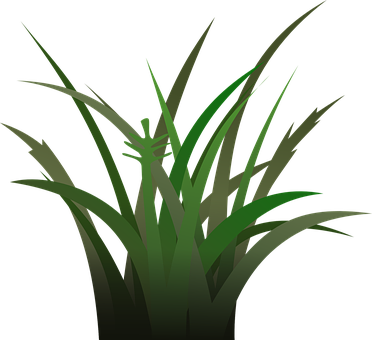 Green Grass Vector Illustration PNG with transparent background