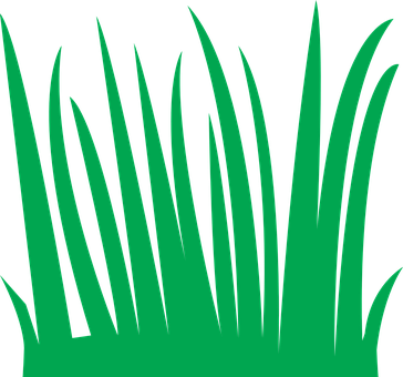Green Grass Vector Illustration PNG with transparent background