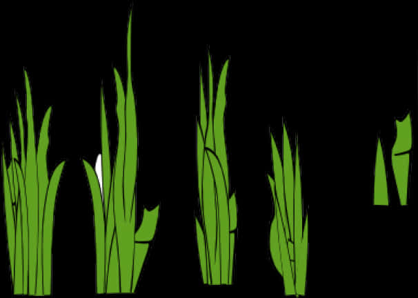 Green Grass Vector Illustration