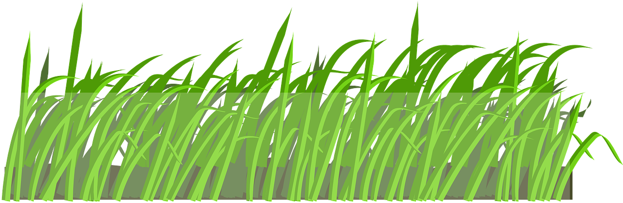 Green Grass Vector Illustration