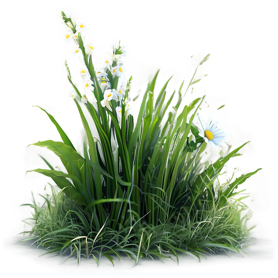 Green Grass With Flowers Png 94