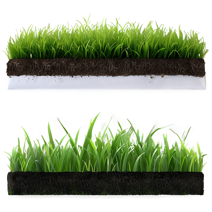 Green Grass With Soil Png 06262024