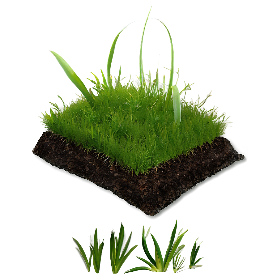 Green Grass With Soil Png Mnh