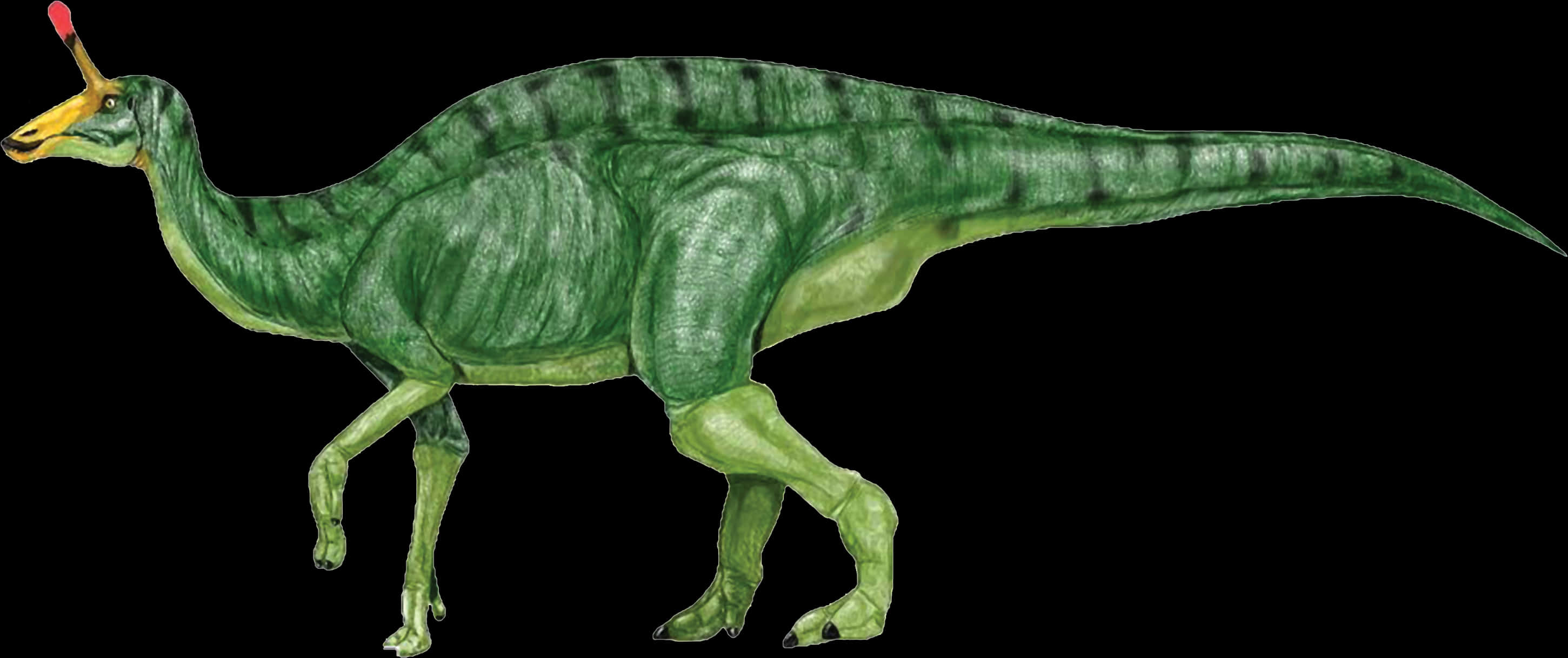 Green Hadrosaur Illustration