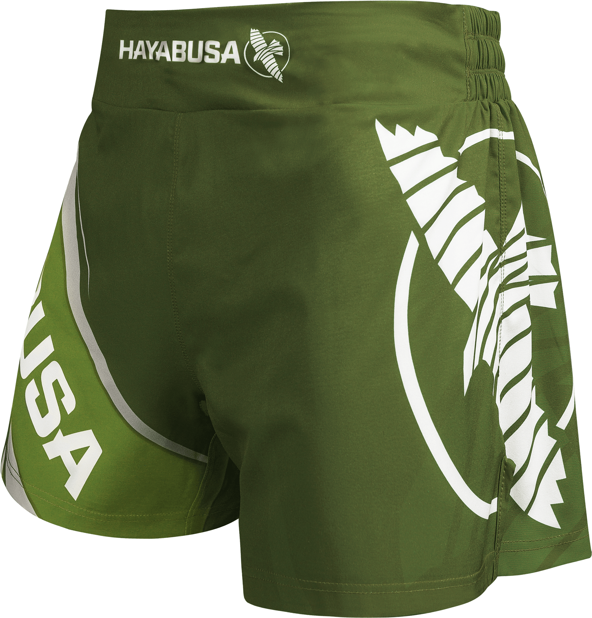 Green Hayabusa Kickboxing Shorts PNG with transparent background