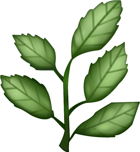 Herb Png Clipart - Herb Emoji Png, Transparent Png PNG with transparent background