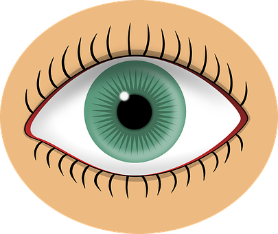 Green Human Eye Illustration PNG with transparent background
