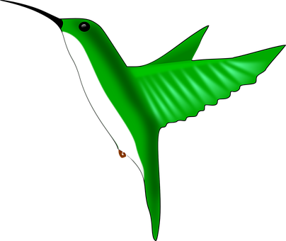 Green Hummingbird Illustration PNG with transparent background