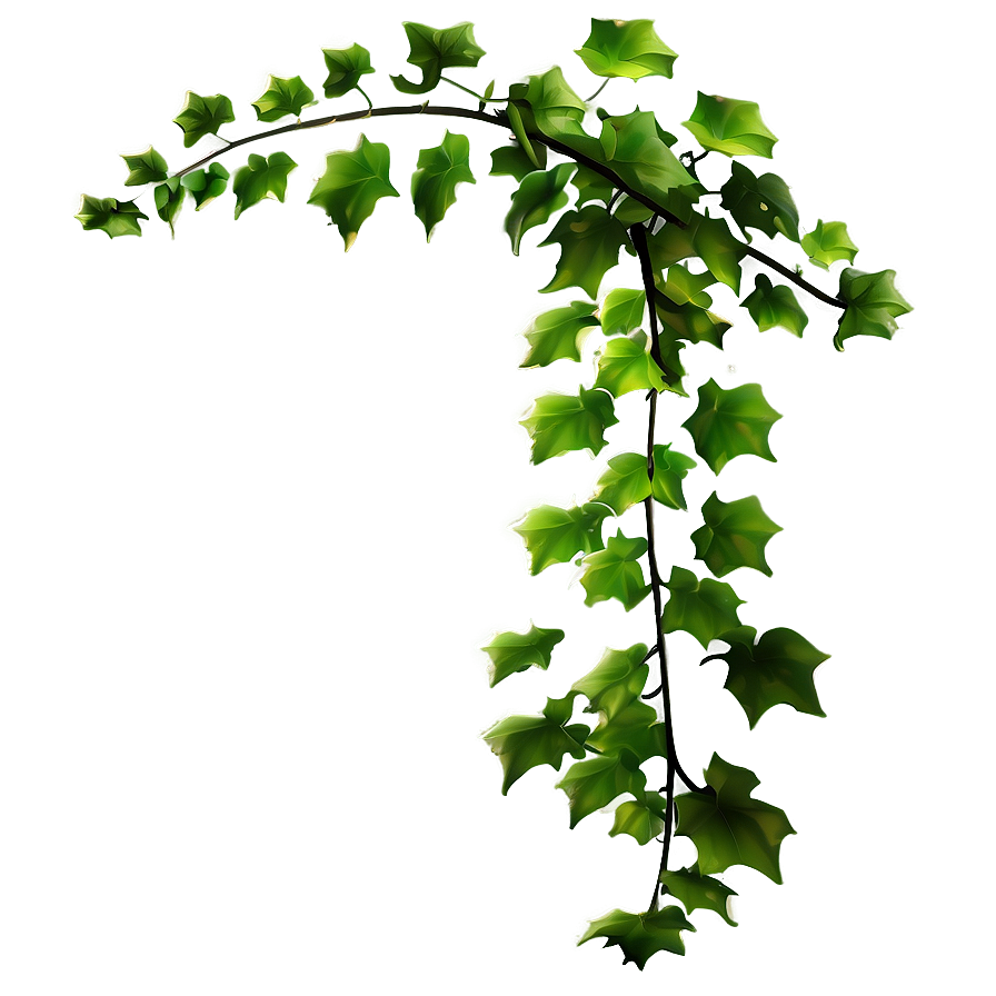 Green Ivy Vine Branch PNG with transparent background