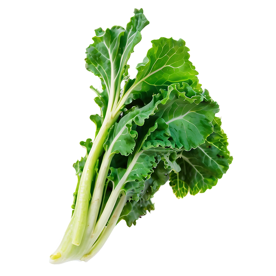 Green Kale Leaf Png Gmd98