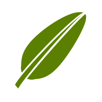 Green Leaf Black Background PNG with transparent background