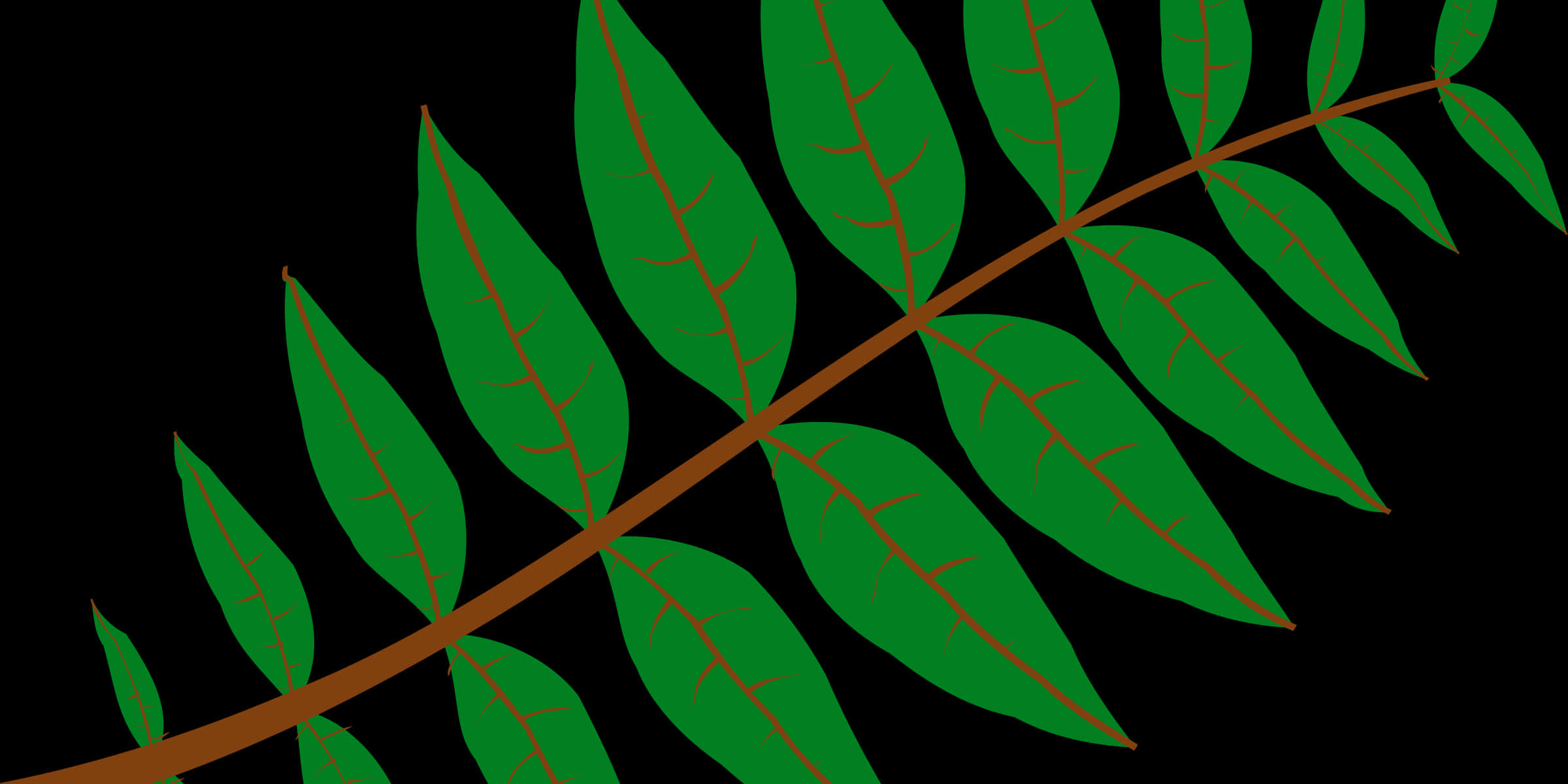 Green Leaf Branch Vector Illustration