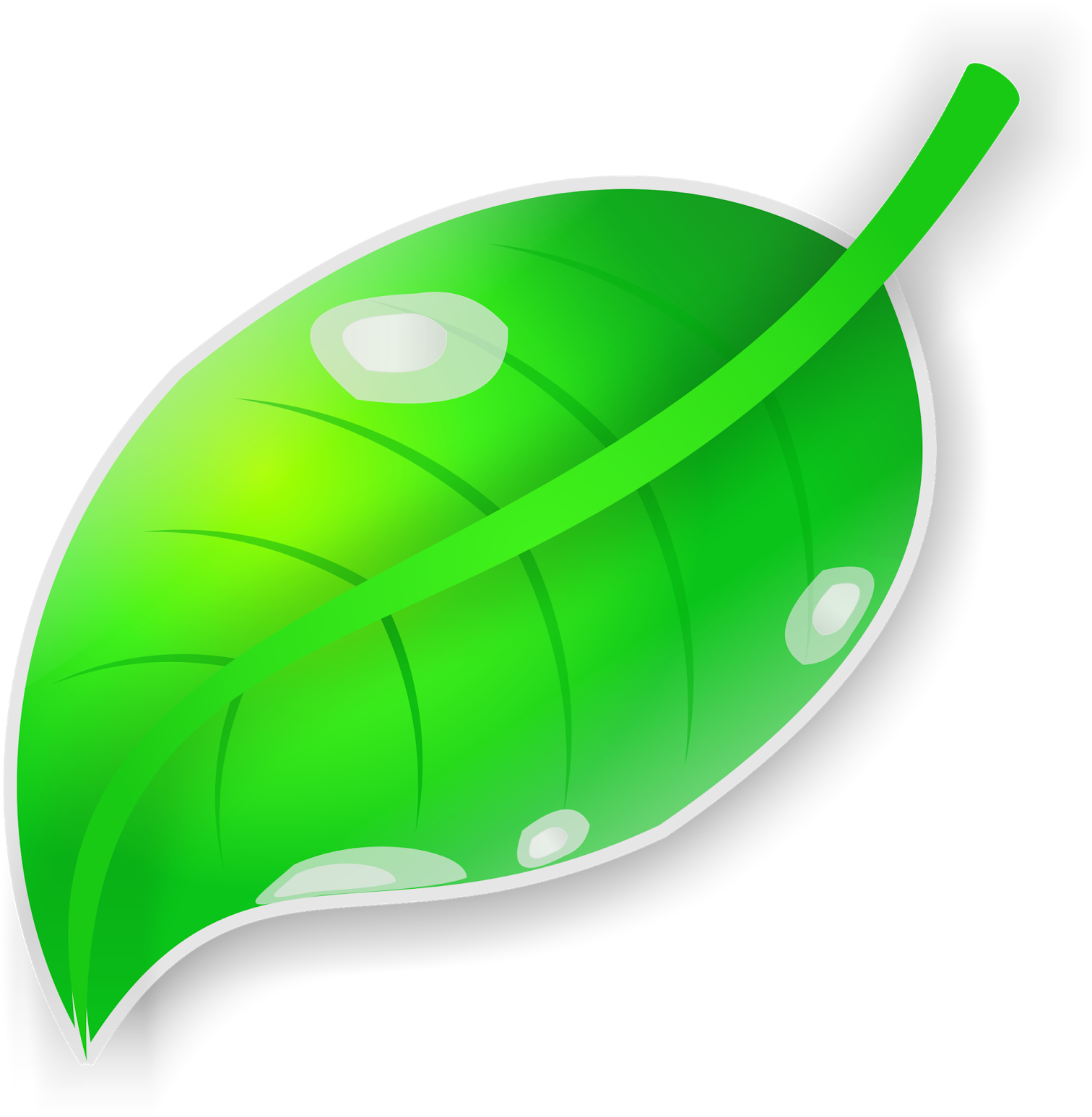 Green Leaf Cartoon Illustration