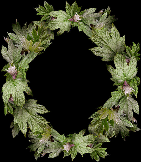 Leaves, Wreath, Frame, Border - Gambar Bingkai Daun Melingkar, HD Png Download PNG image with a transparent background, free high-resolution download