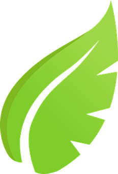 Green Leaf Graphic