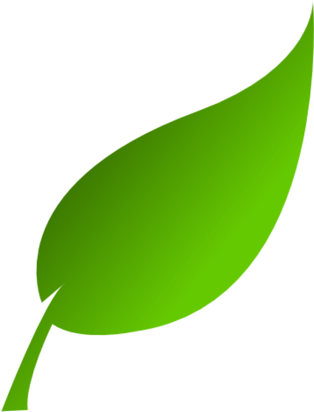 Green Leaf Graphic