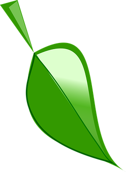 Green Leaf Graphic