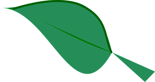 Green Leaf Graphicon Black Background PNG with transparent background