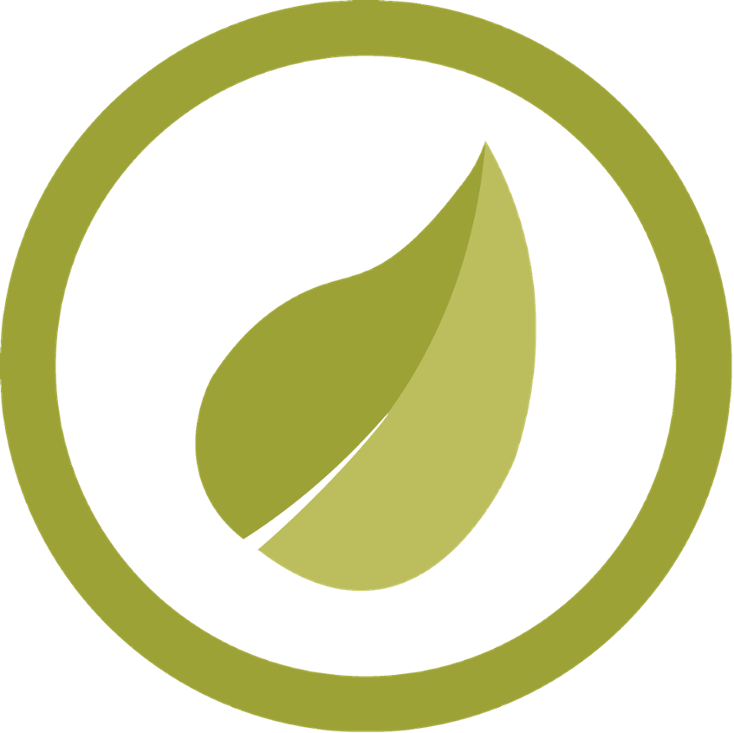 Green Leaf Icon PNG with transparent background
