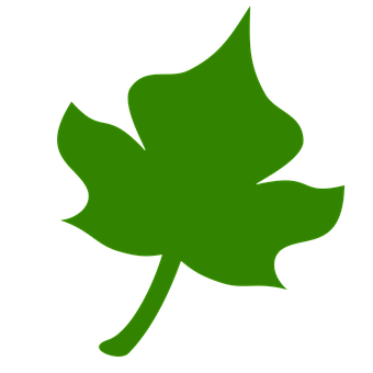 Green Leaf Icon