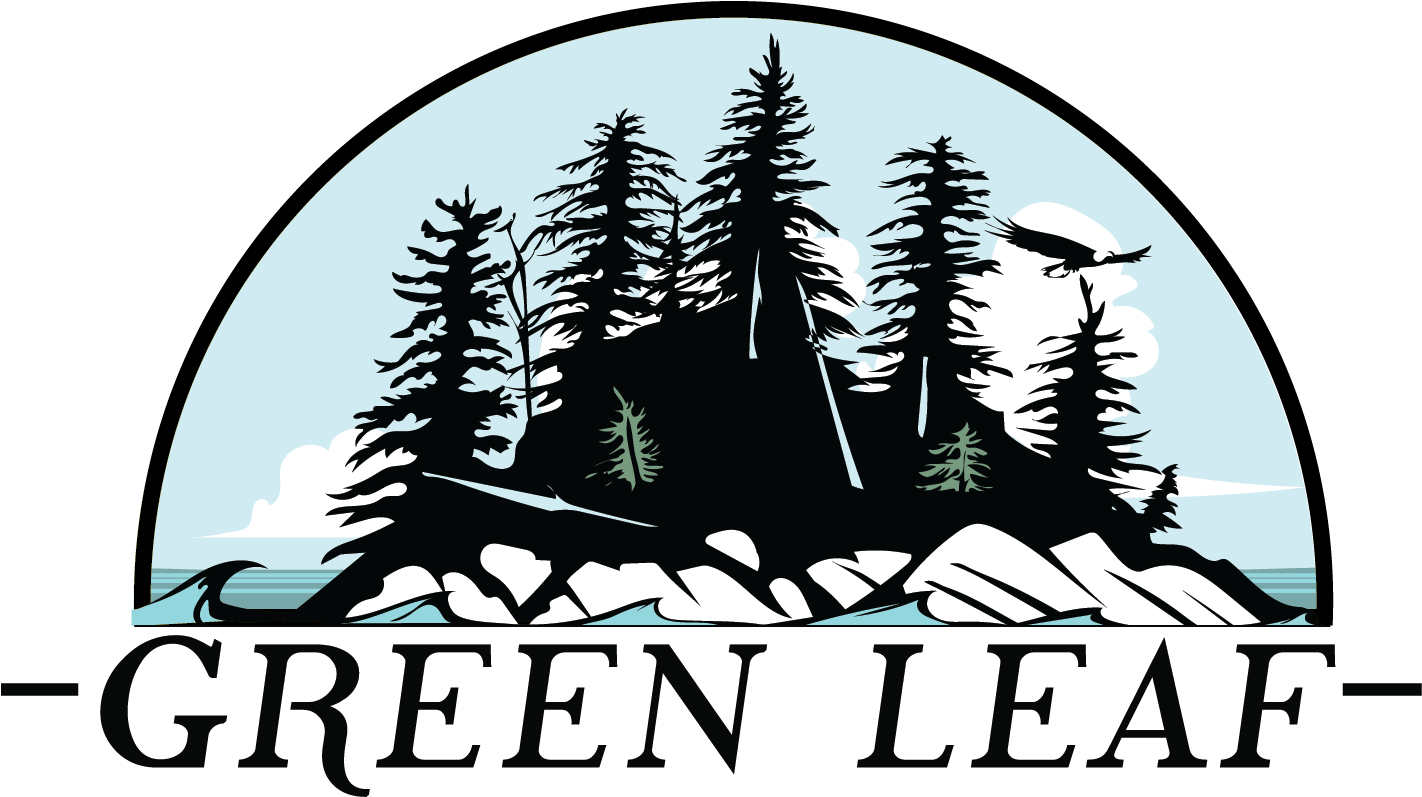 Colorado Spruce Clipart , Png Download - Colorado Spruce, Transparent Png PNG with transparent background