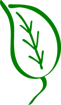 Green Leaf Silhouette Graphic PNG with transparent background
