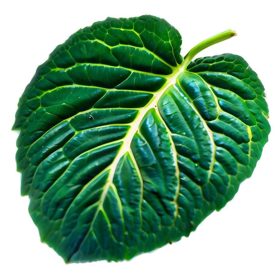 Green Leaf Texture PNG nqg PNG with transparent background