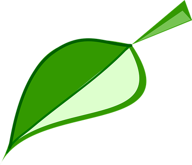 Green Leaf Vector Art PNG with transparent background
