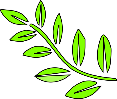 Green Leaf Vector Art PNG with transparent background