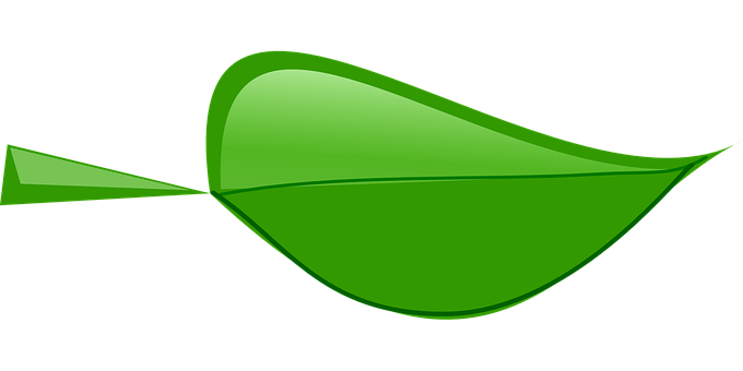 Green Leaf Vector Art PNG with transparent background