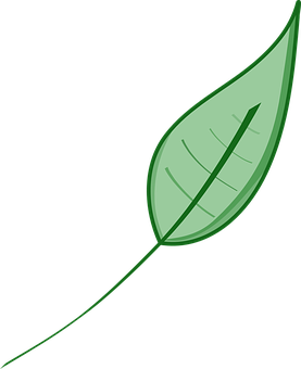 Green Leaf Vector Illustration PNG with transparent background
