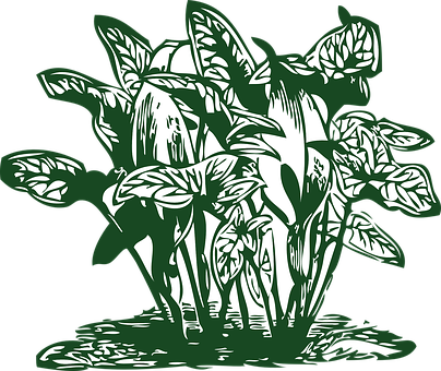 Green Leafy Plant Illustration