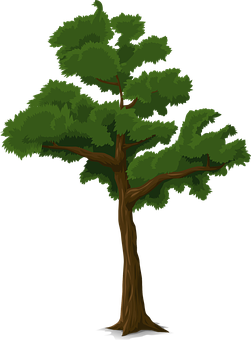 Green Leafy Tree Illustration