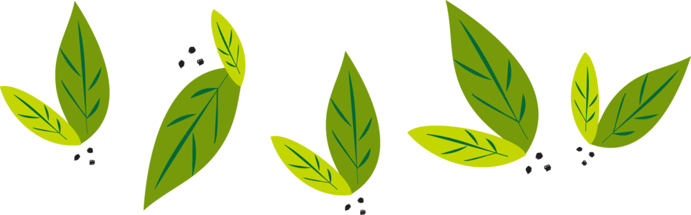 Green Leaves Vector Illustration PNG with transparent background