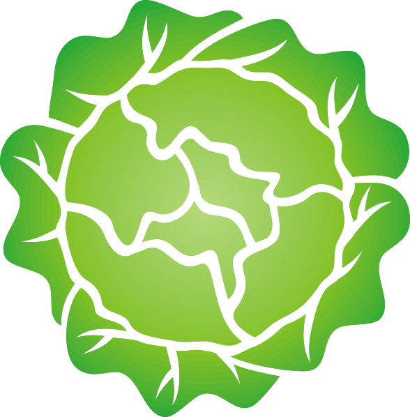 Head Of Lettuce Svg Clip Arts - Head Of Lettuce Clipart, HD Png Download PNG with transparent background