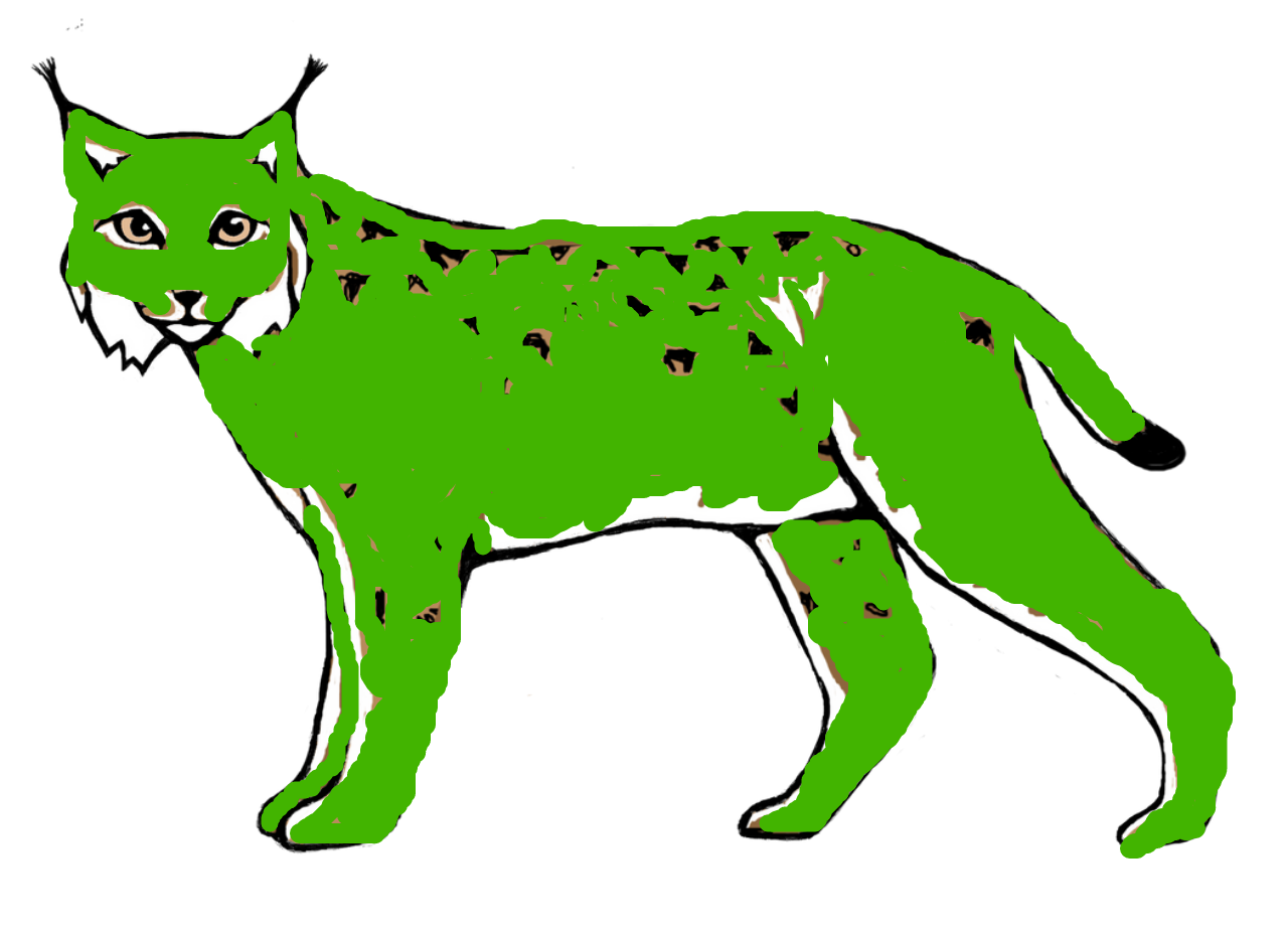 Green Lynx Illustration