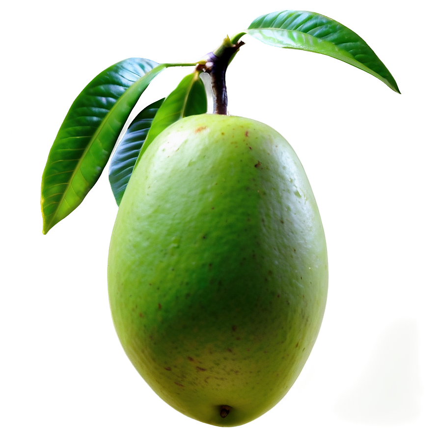 Green Mango PNG 05232024 PNG image with a transparent background, free high-resolution download