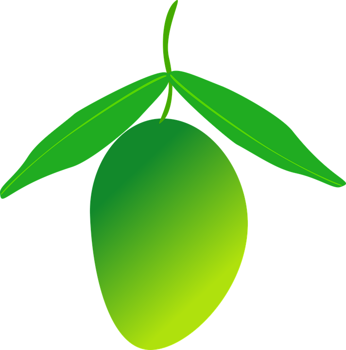 Green Mango Vector Illustration PNG with transparent background