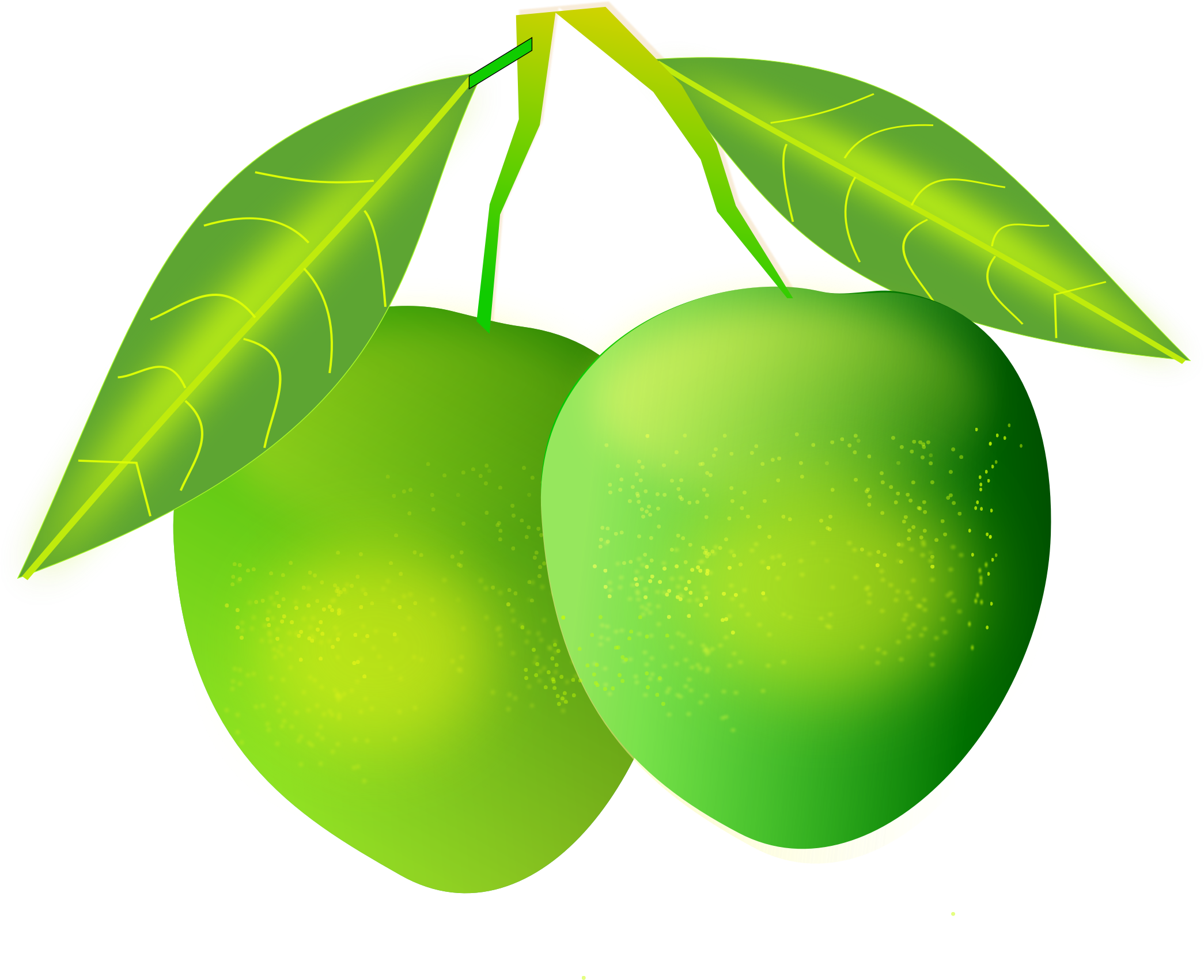 Green Mangoes With Leaves PNG with transparent background
