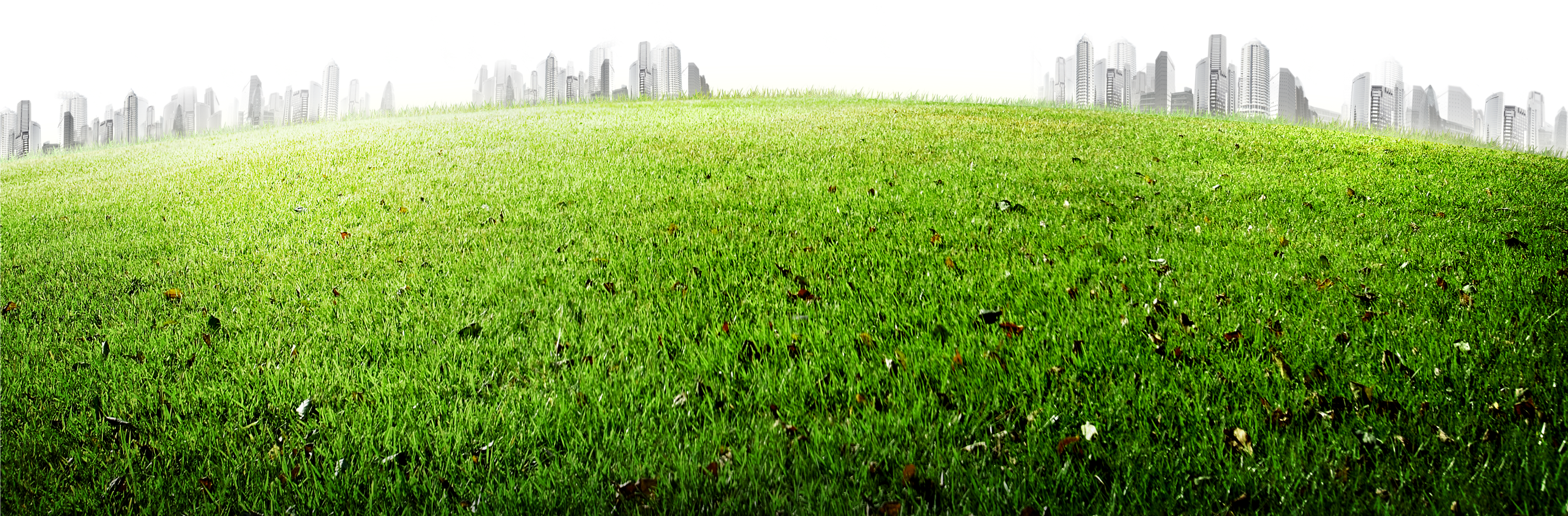 Meadow 5200*3458 Transprent Png Free Download , Png, Transparent Png PNG with transparent background