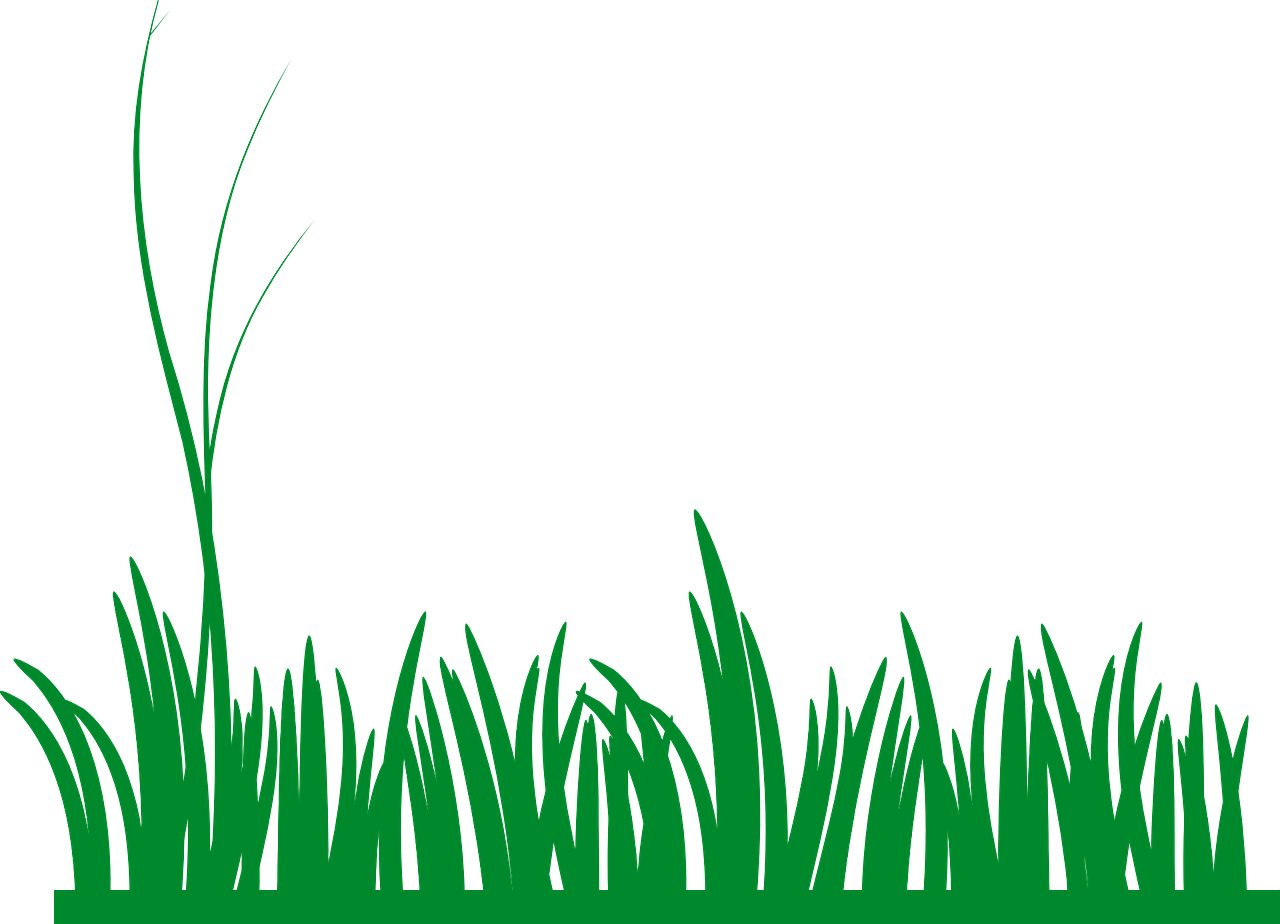 Summer Meadow PNG Image PNG with transparent background
