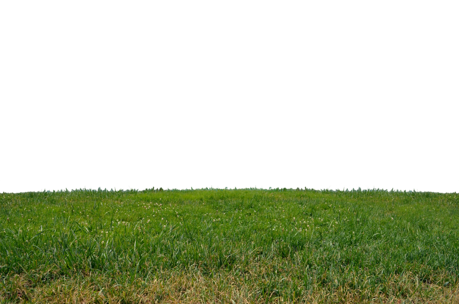 Spring Meadow PNG HD PNG with transparent background