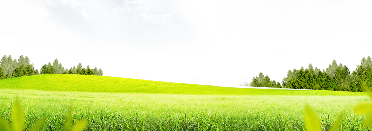 Meadow Greenscape PNG HD PNG with transparent background